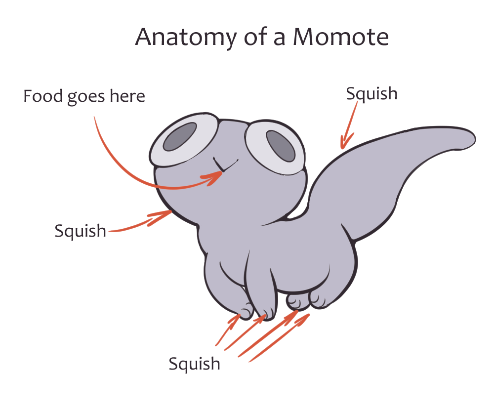 momote-anatomy_orig.png
